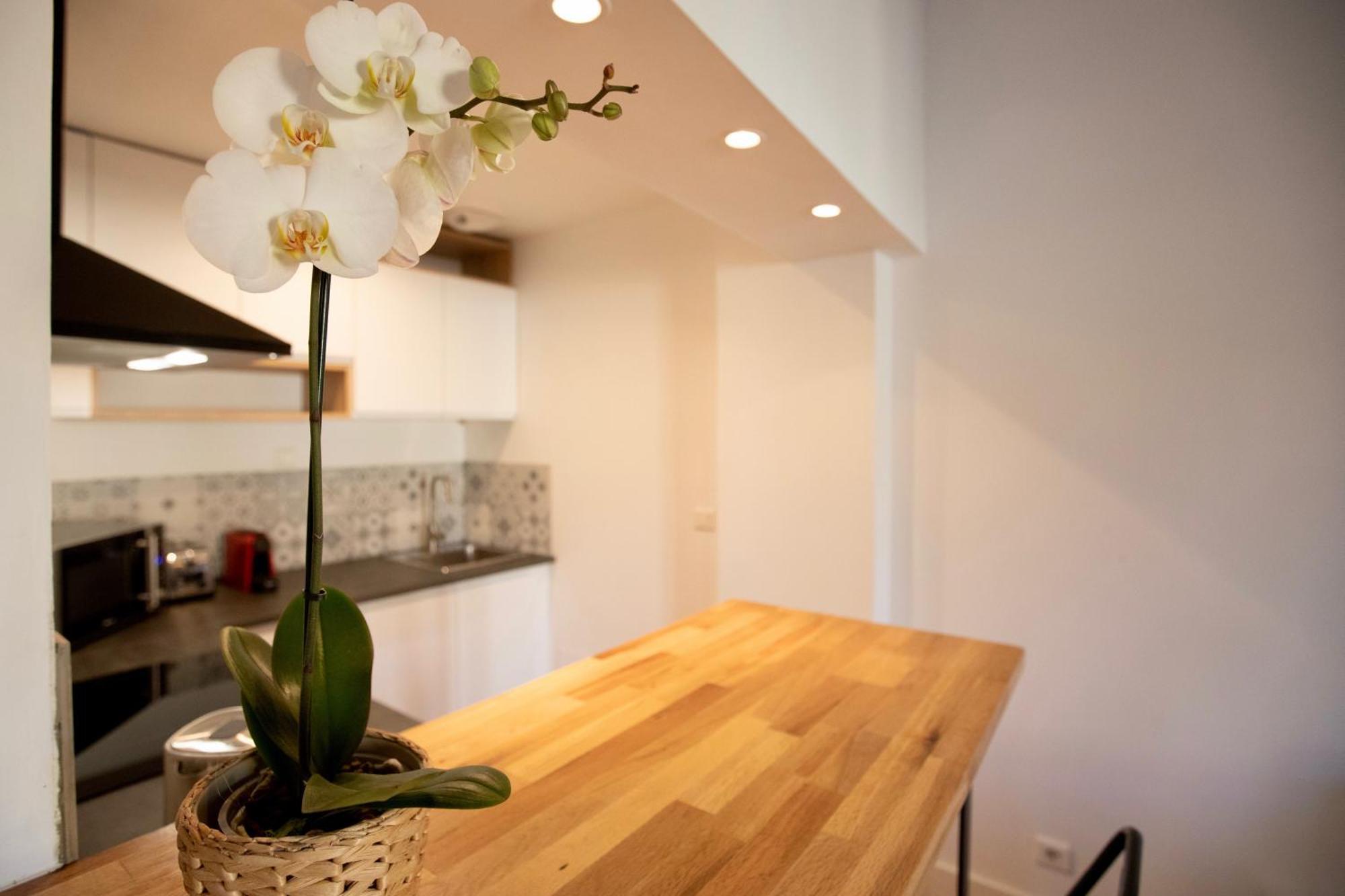 Home Chic Home - Les Toits de Sainte-Ursule - Netflix Montpellier Extérieur photo